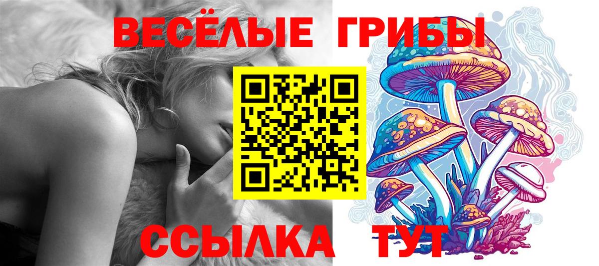 закладки  Псилоцибиновые грибы Magic Shrooms  Вход с VPN  Галлюциногенные грибы ЛСД  Чистополь 