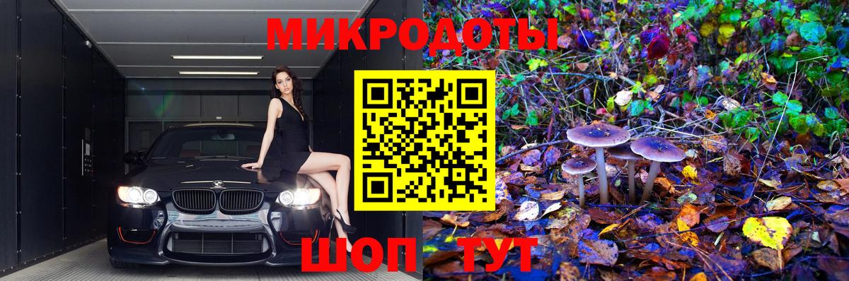 Галлюциногенные грибы мухоморы Чистополь