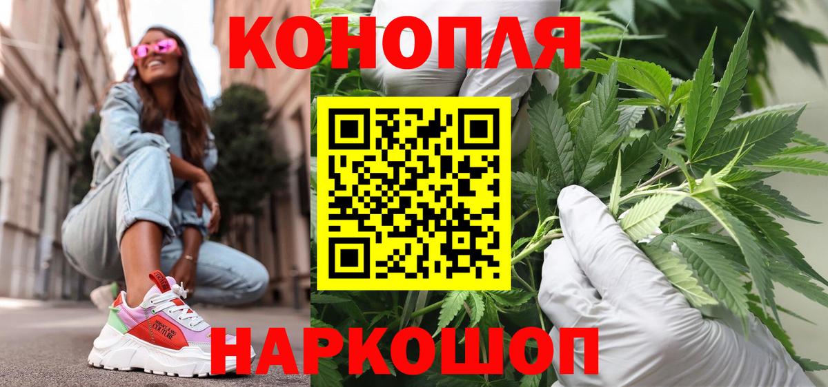 МАРИХУАНА сатива Чистополь